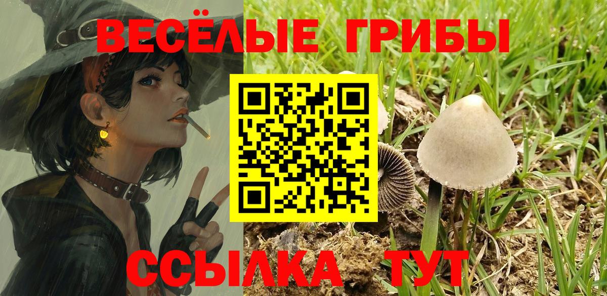 Галлюциногенные грибы мицелий Аксай